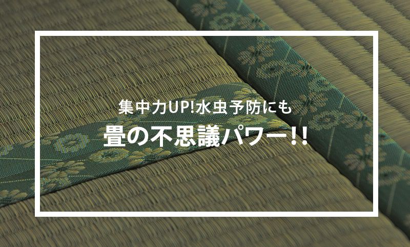 畳の不思議パワー!!