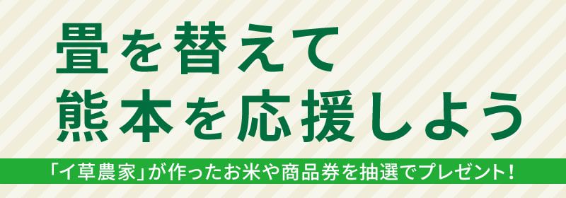 畳の不思議パワー!!