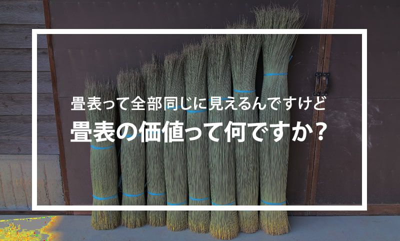 イ草の長さが違います